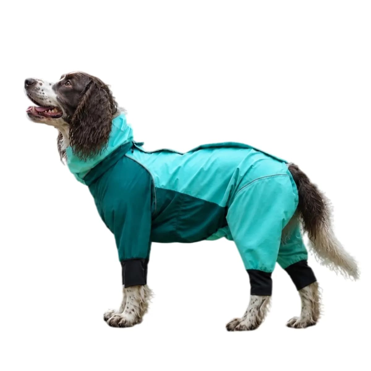 Four-Leg Hooded Dog Raincoat