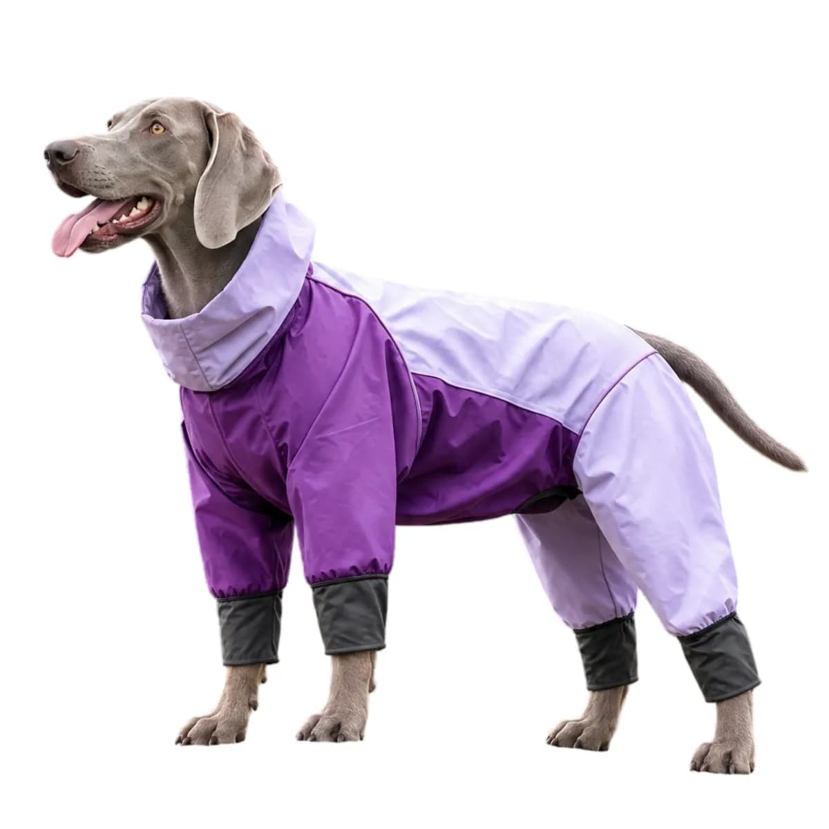Full Body Dog Raincoat with Legs – Fully Taped Seams