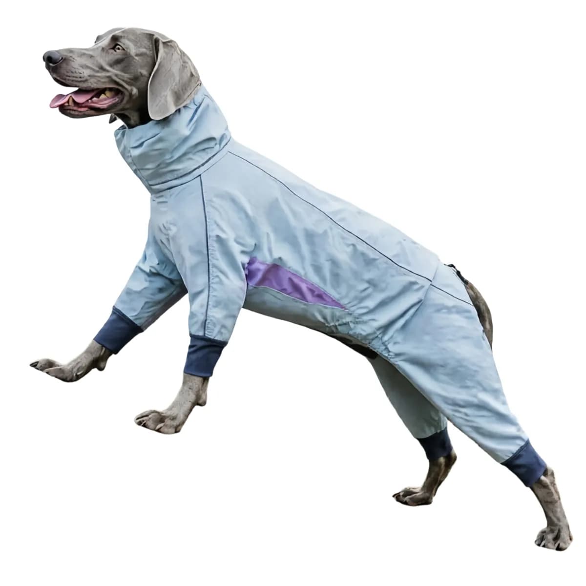 Full Body Dog Raincoat with Legs – Taped Seams